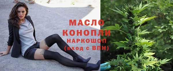 индика Гусь-Хрустальный