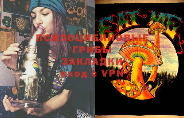 мяу мяу мука Алексин